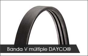 Banda V Multiple DAYCO